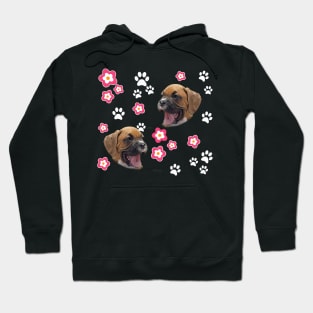 Cute Boxer Puppy, on Teal Green with Flowers Hoodie